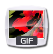 GIF Cube